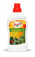 Florovit autumn fertiliser for evergreen plants